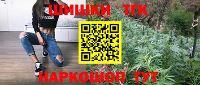 СК Канаш