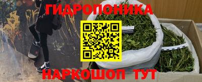 СК Канаш