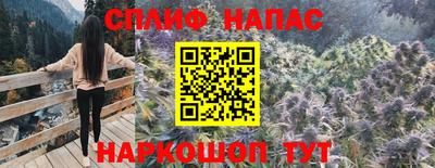СК Канаш