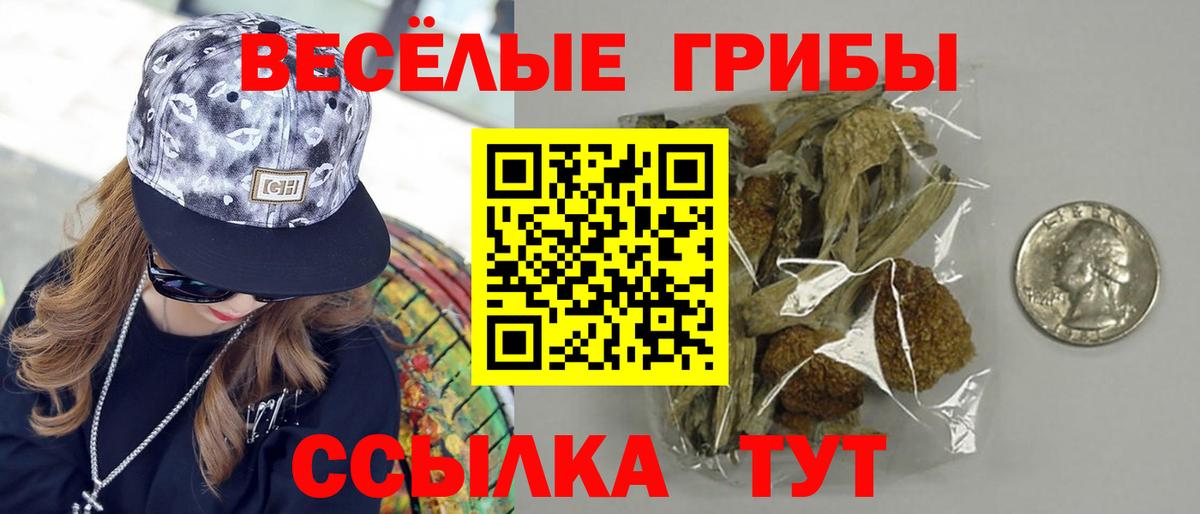 Псилоцибиновые грибы Psilocybe Кумертау