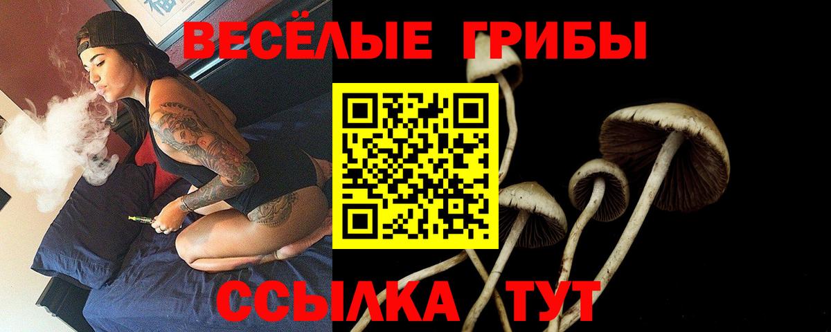 Галлюциногенные грибы мухоморы  Вход с VPN  Псилоцибиновые грибы мицелий  Кумертау 